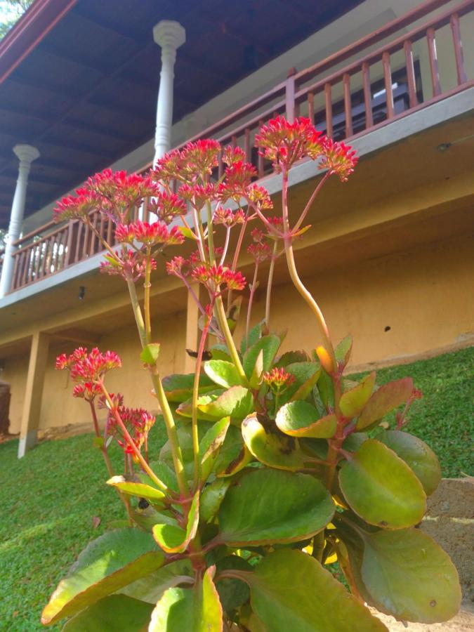 Ella Hillsite View Hotel Exterior foto